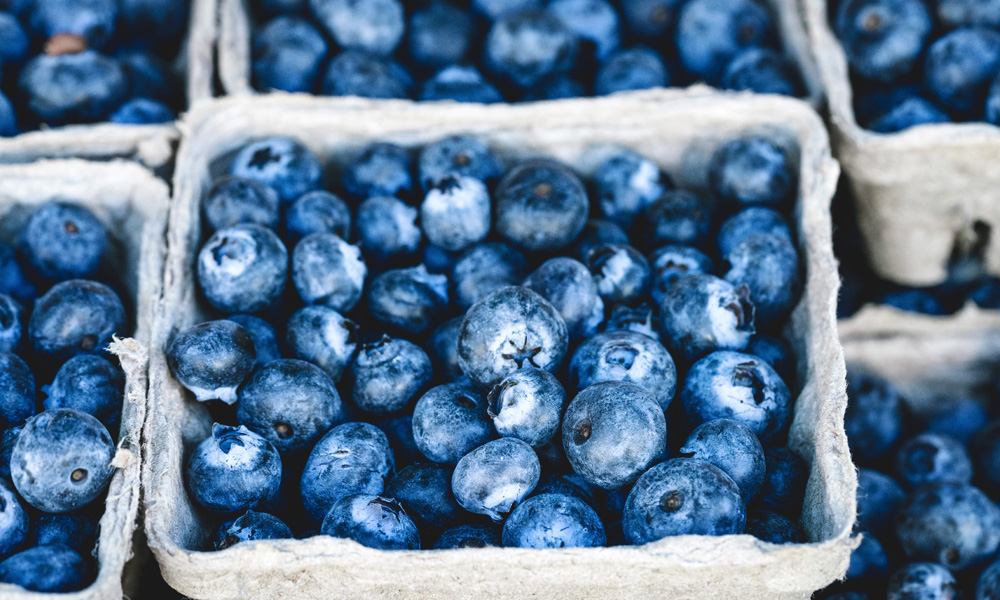 Blueberries Health Benefits